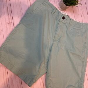 American Eagle Outfitters Flat Front Green Shorts
